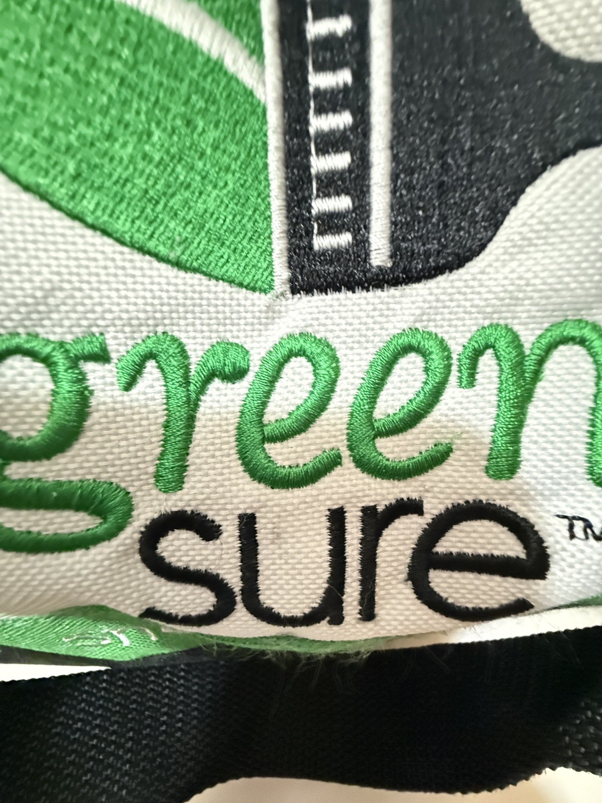Sherwin Williams Empty White/Green/Black Canvas Tote Bag GREEN SURE Embroidered