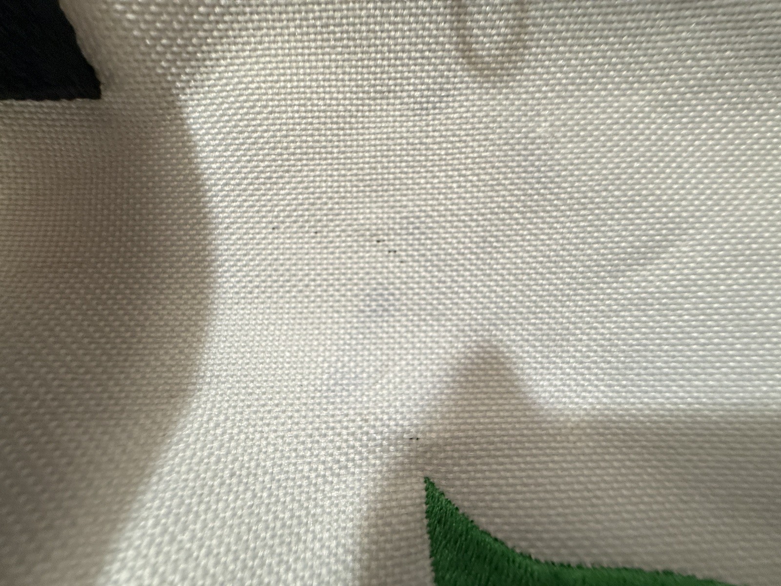Sherwin Williams Empty White/Green/Black Canvas Tote Bag GREEN SURE Embroidered