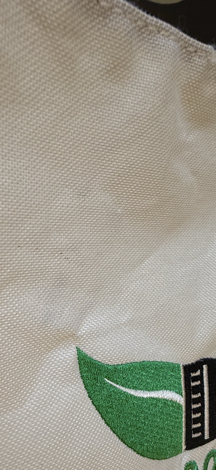 Sherwin Williams Empty White/Green/Black Canvas Tote Bag GREEN SURE Embroidered