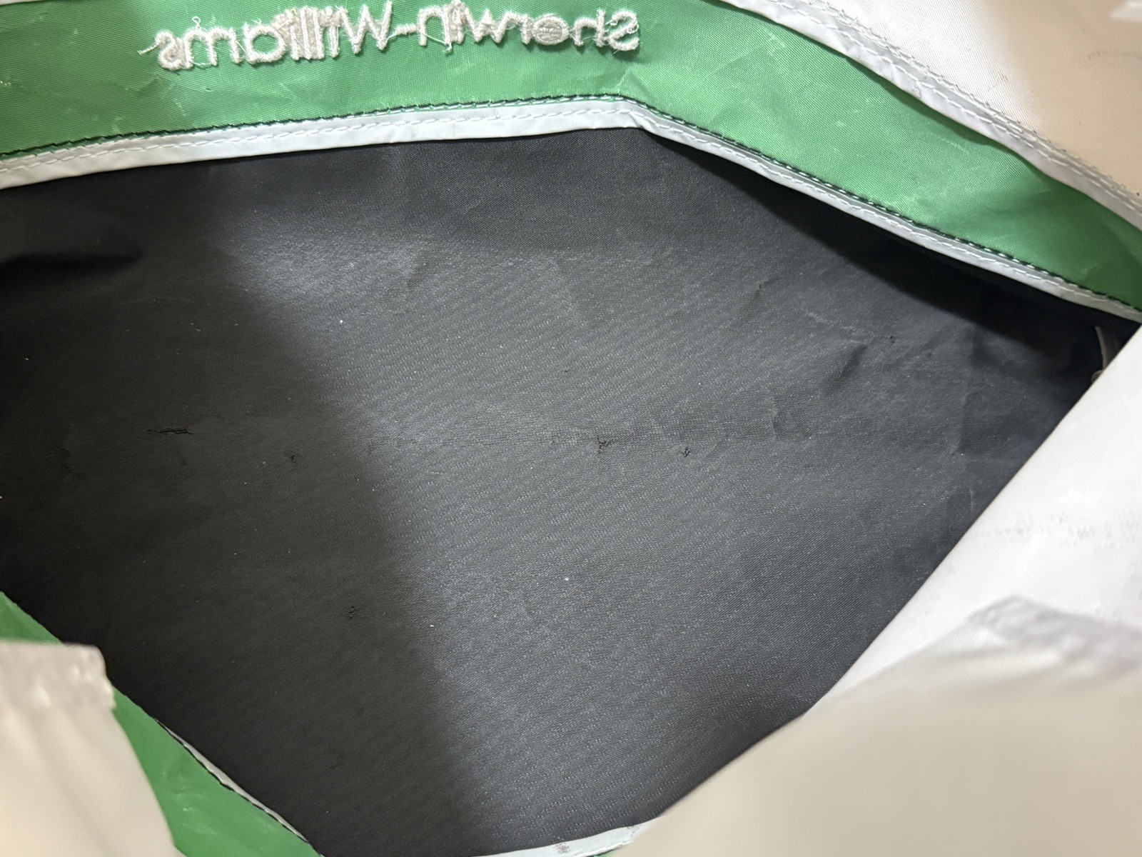 Sherwin Williams Empty White/Green/Black Canvas Tote Bag GREEN SURE Embroidered